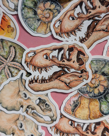 Ancient Fossils Sticker Pack - Set of 6