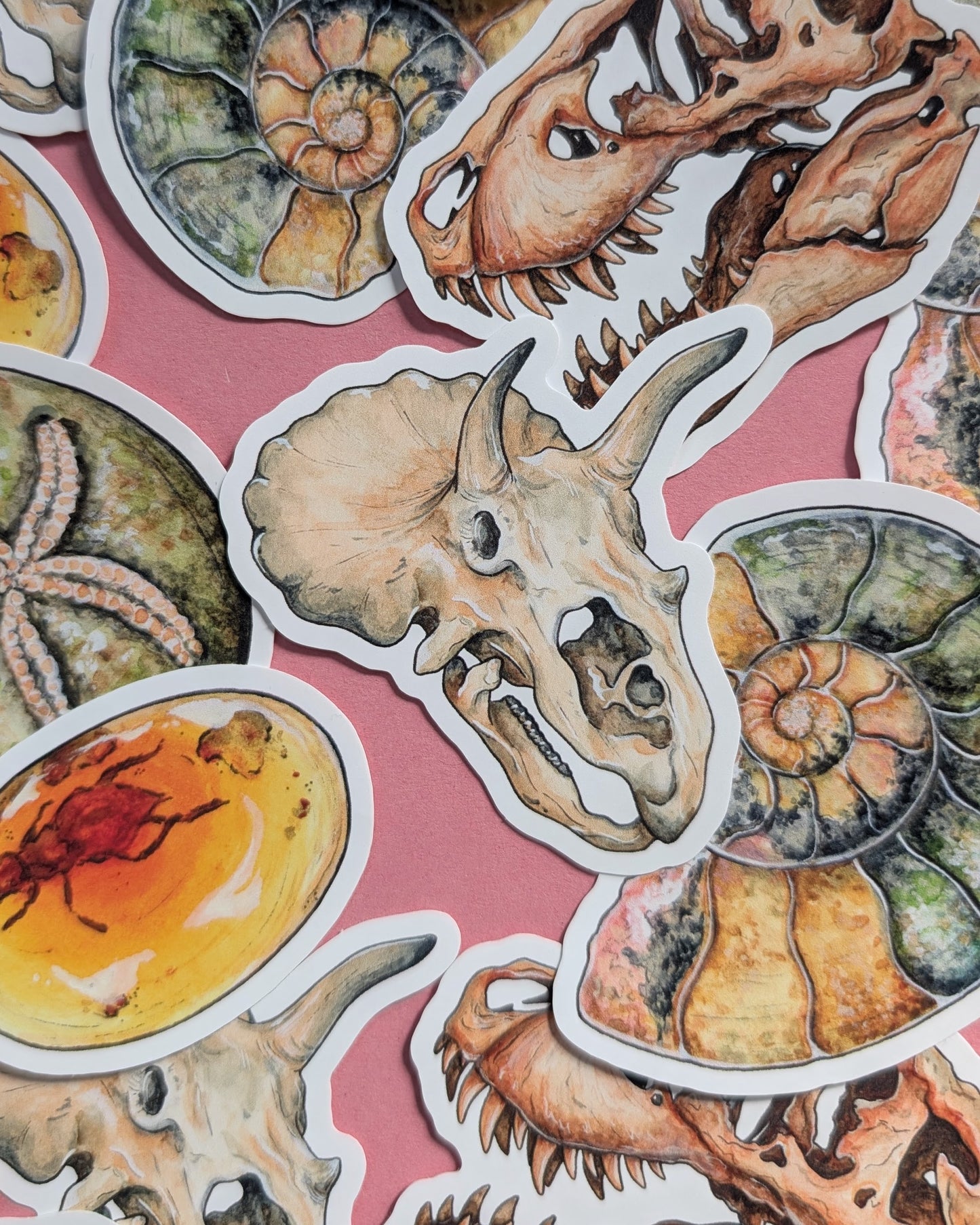 Ancient Fossils Sticker Pack - Set of 6