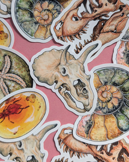 Ancient Fossils Sticker Pack - Set of 6