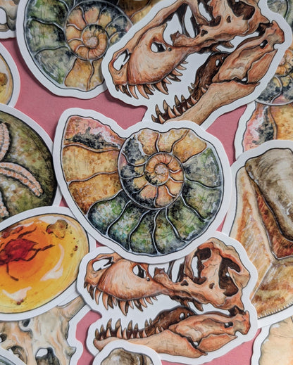 Ancient Fossils Sticker Pack - Set of 6