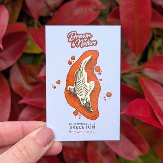 Ichthyosaurus Enamel Pin