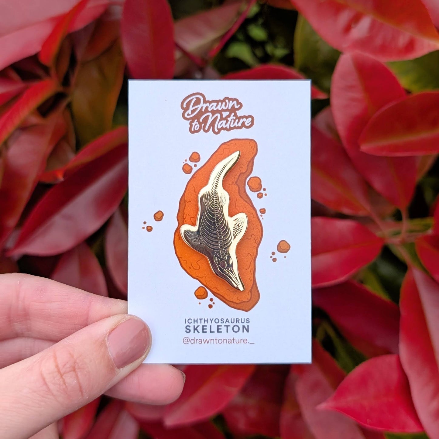 Ichthyosaurus Enamel Pin