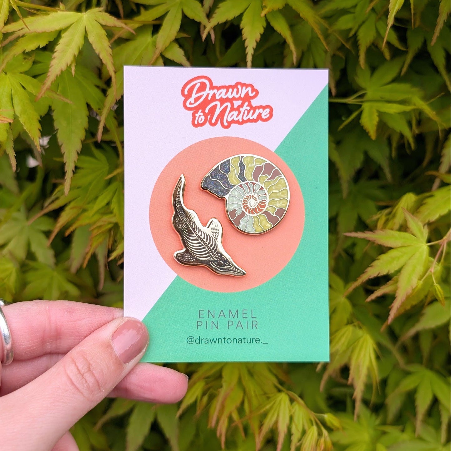 Ichthyosaurus Enamel Pin
