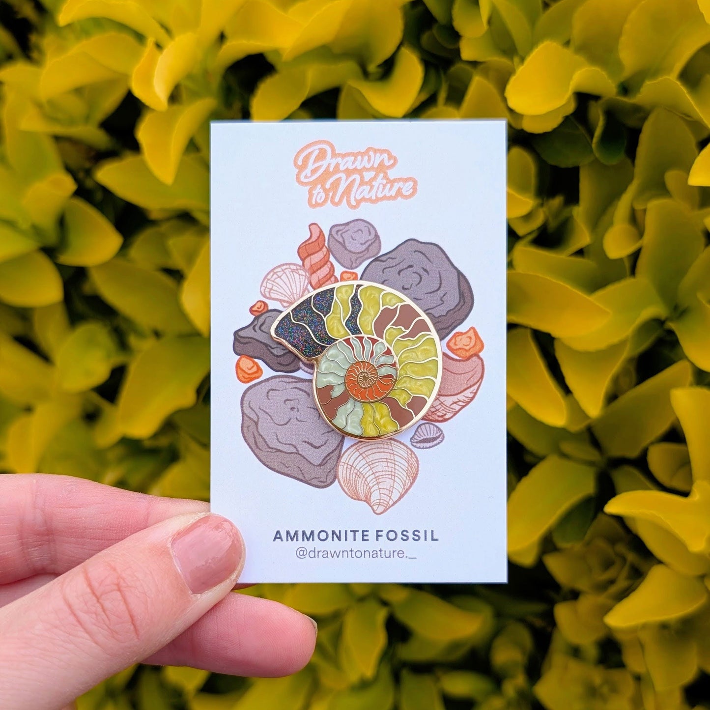 Ammonite Enamel Pin