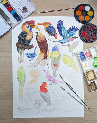 Brilliant Birds Print