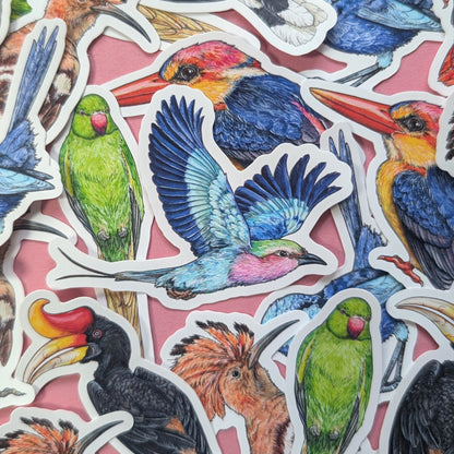 Brilliant Birds Sticker Pack - Set of 6