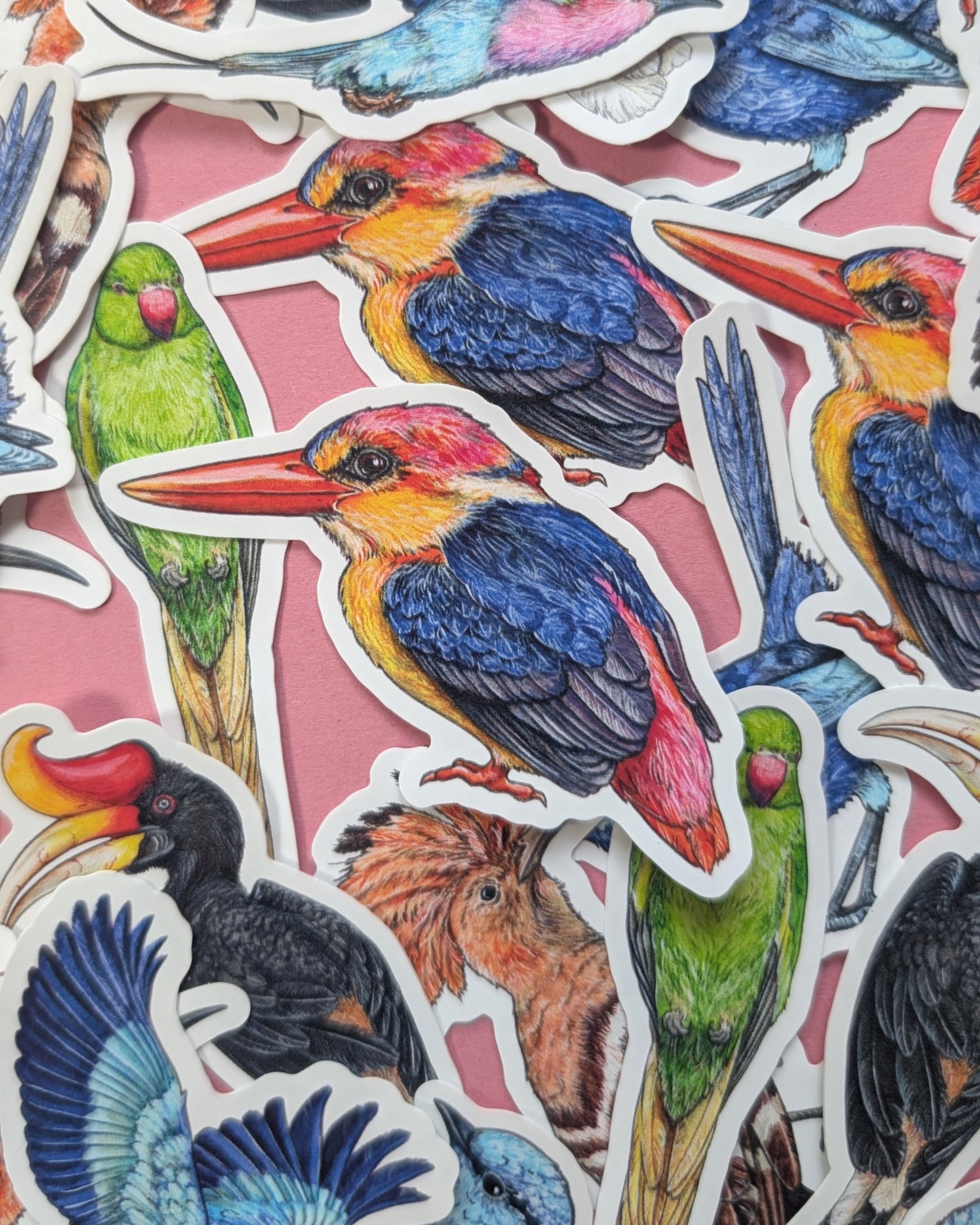 Brilliant Birds Sticker Pack - Set of 6