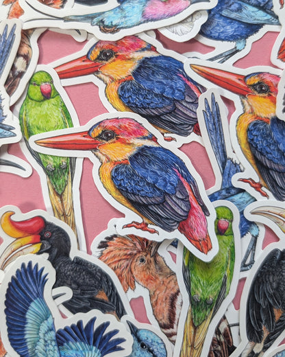 Brilliant Birds Sticker Pack - Set of 6