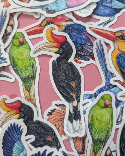 Brilliant Birds Sticker Pack - Set of 6