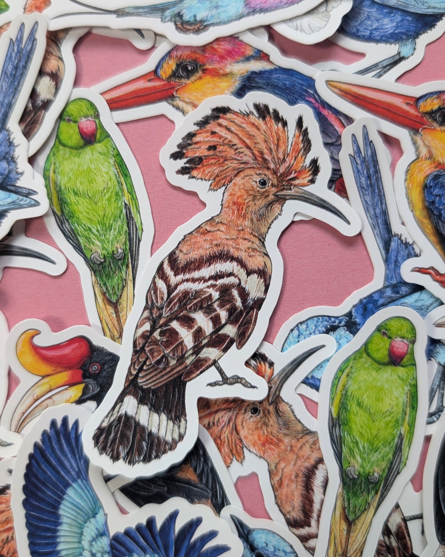 Brilliant Birds Sticker Pack - Set of 6
