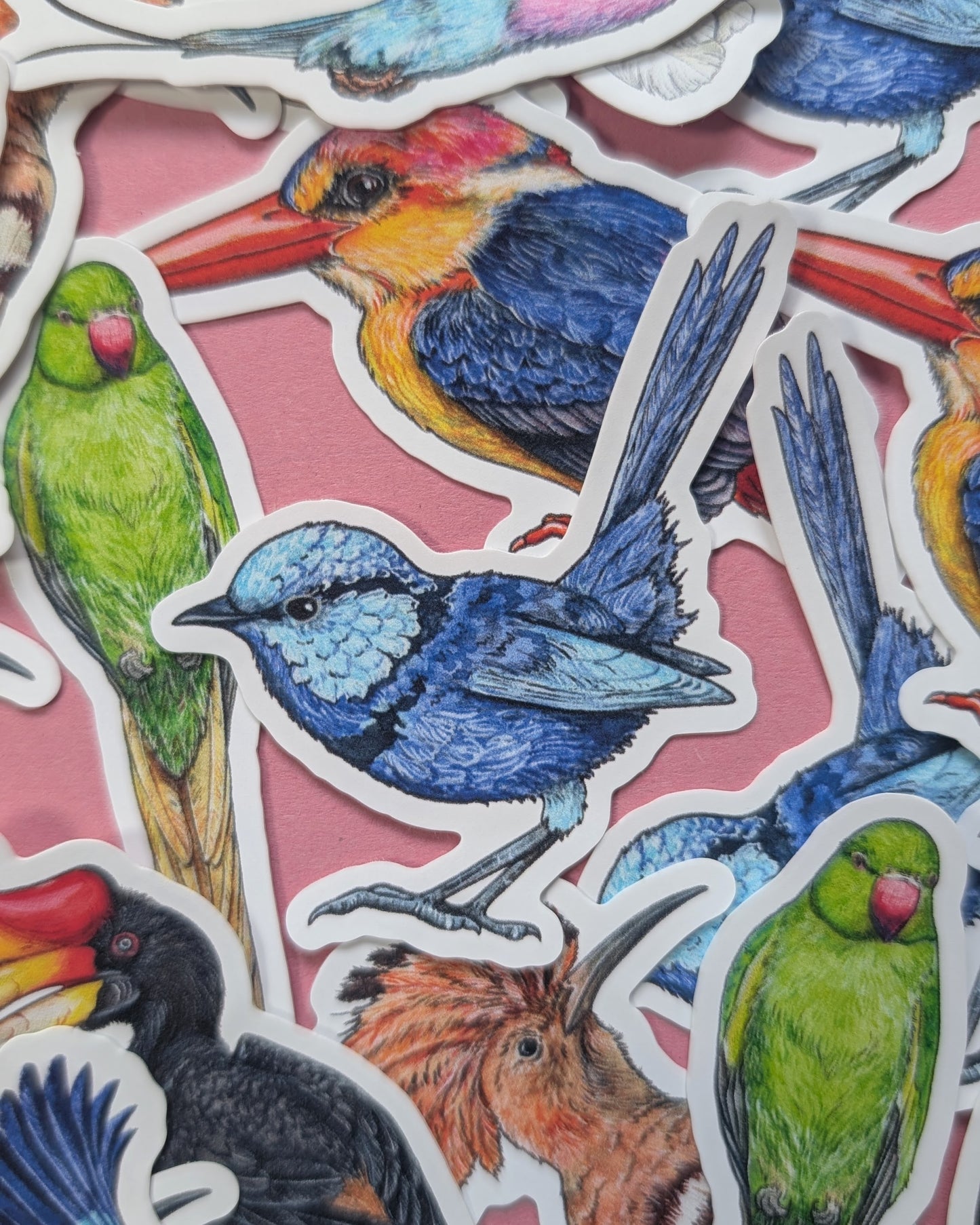 Brilliant Birds Sticker Pack - Set of 6