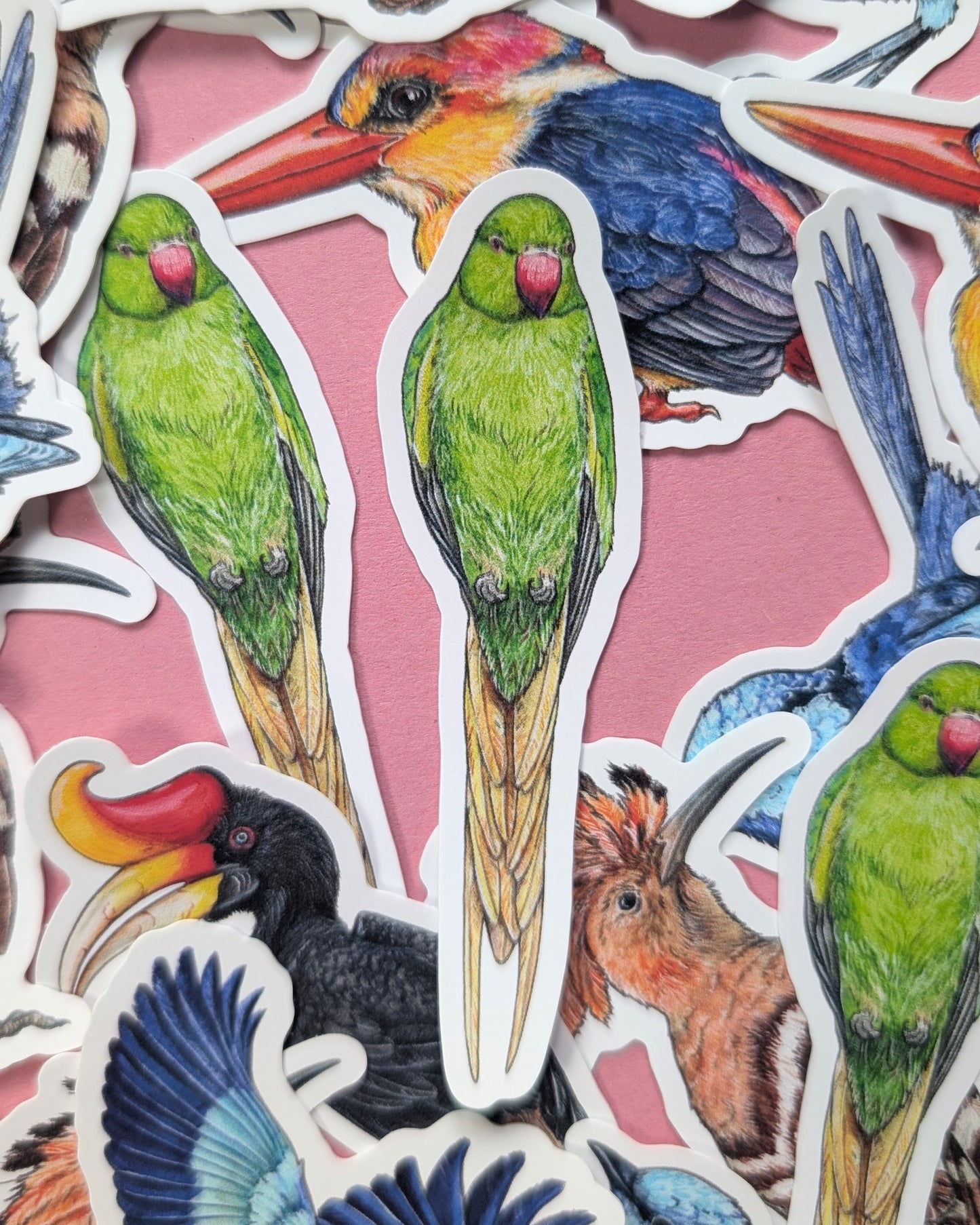 Brilliant Birds Sticker Pack - Set of 6
