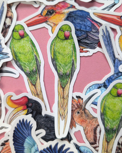 Brilliant Birds Sticker Pack - Set of 6