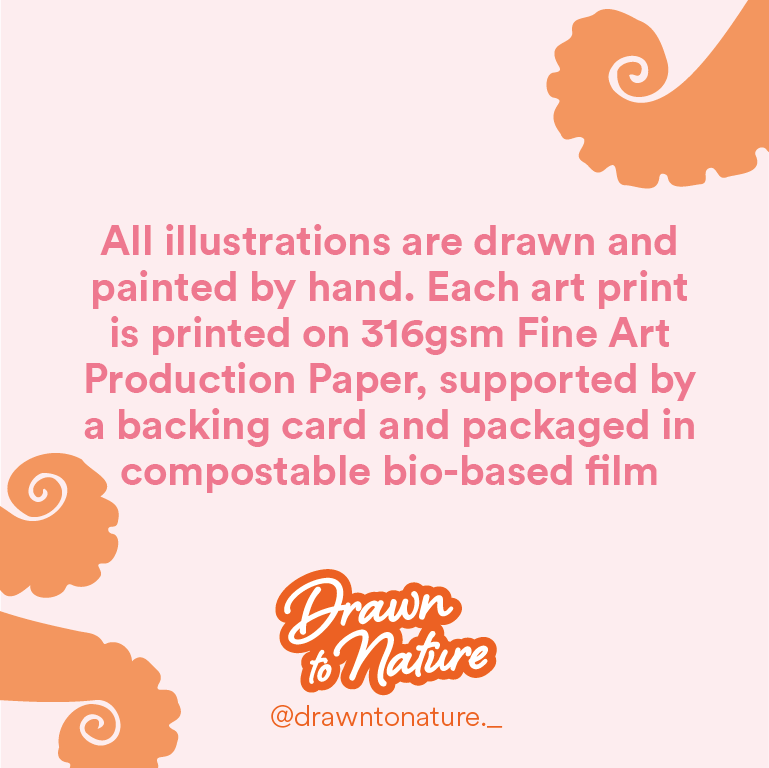 British Wildlife Print