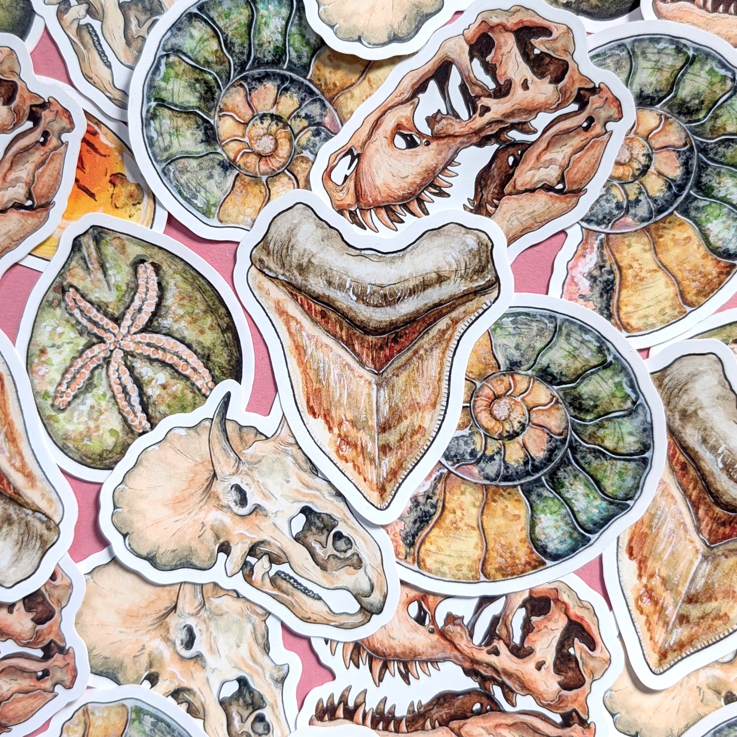 Ancient Fossils Sticker Pack - Set of 6