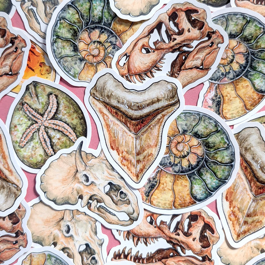 Ancient Fossils Sticker Pack - Set of 6