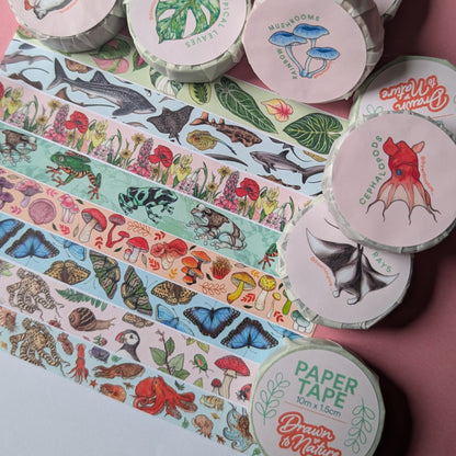 Sea Slugs Washi Tape
