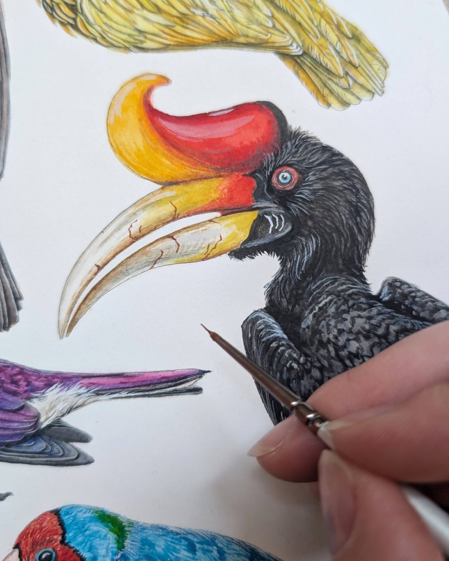 Brilliant Birds Print