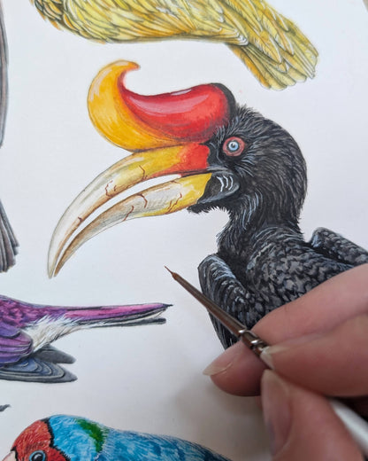 Brilliant Birds Print