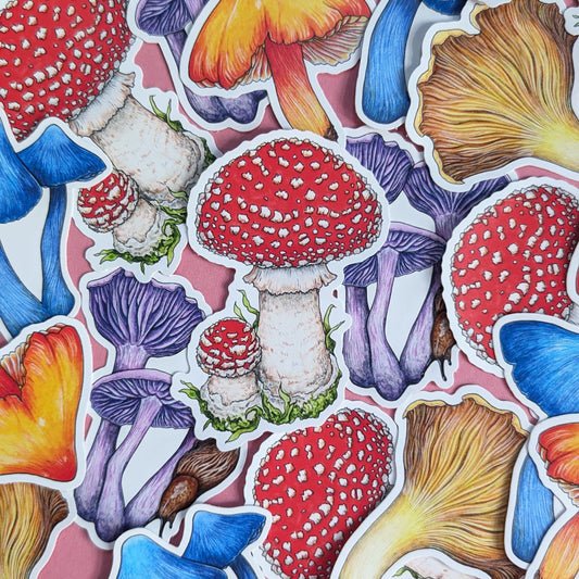 Mushrooms II Sticker Pack - Set of 6