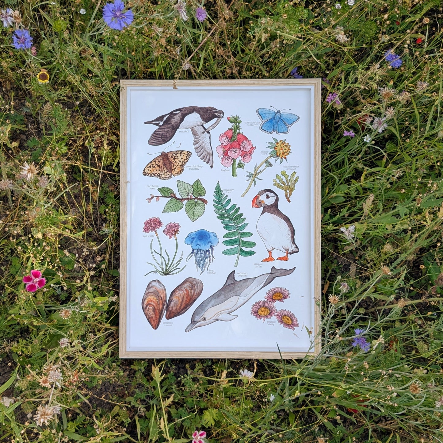 Coastal Nature Print