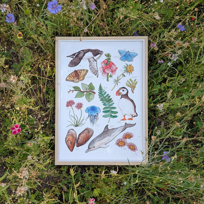 Coastal Nature Print