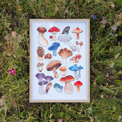 Mushrooms Print