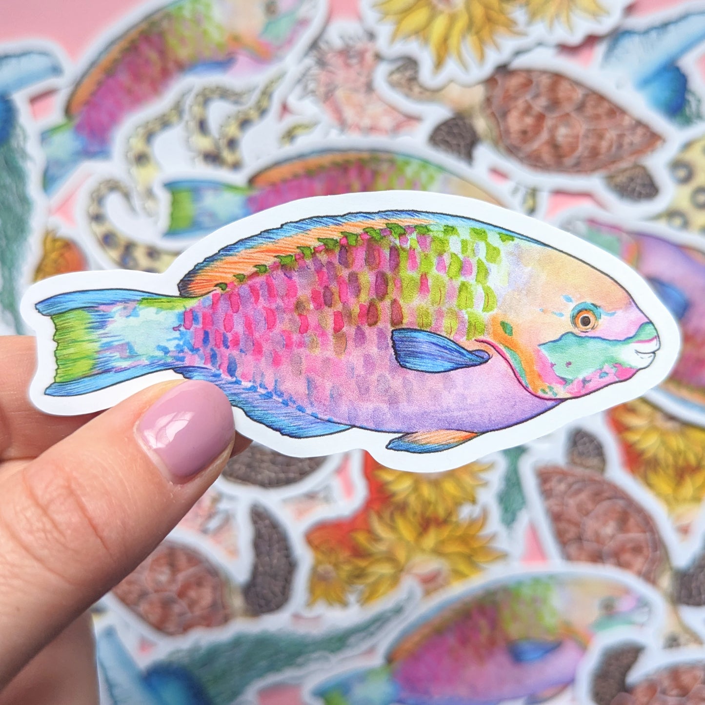 Great Barrier Reef Sticker Pack - Set of 6