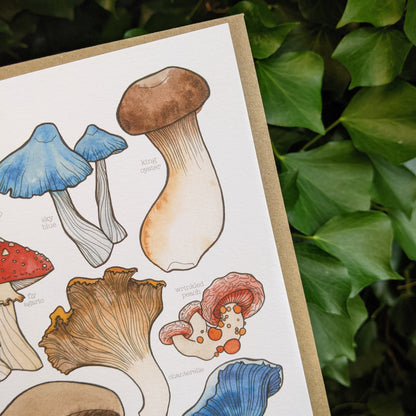 Mushrooms Card