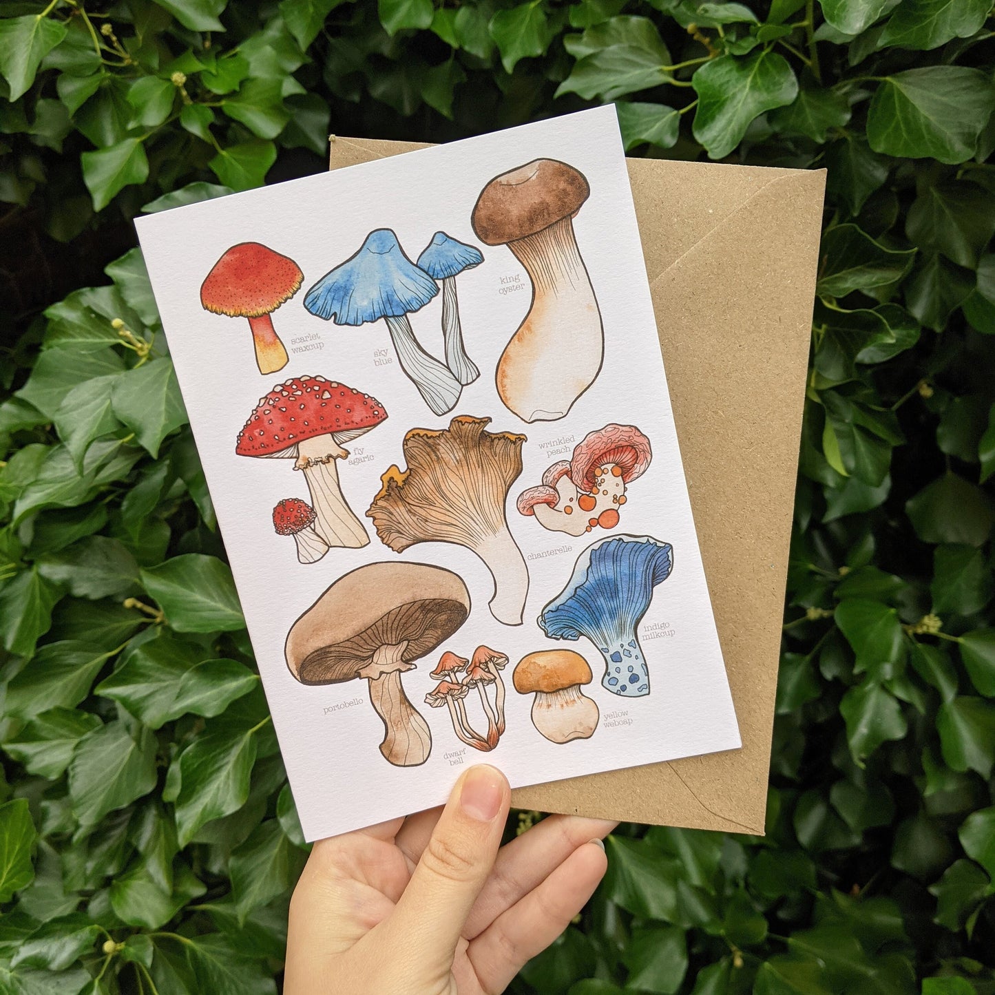 Mushrooms Card