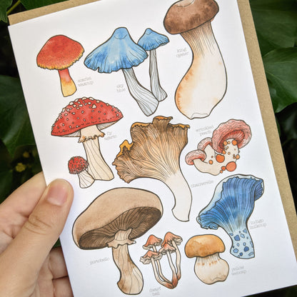 Mushrooms Card