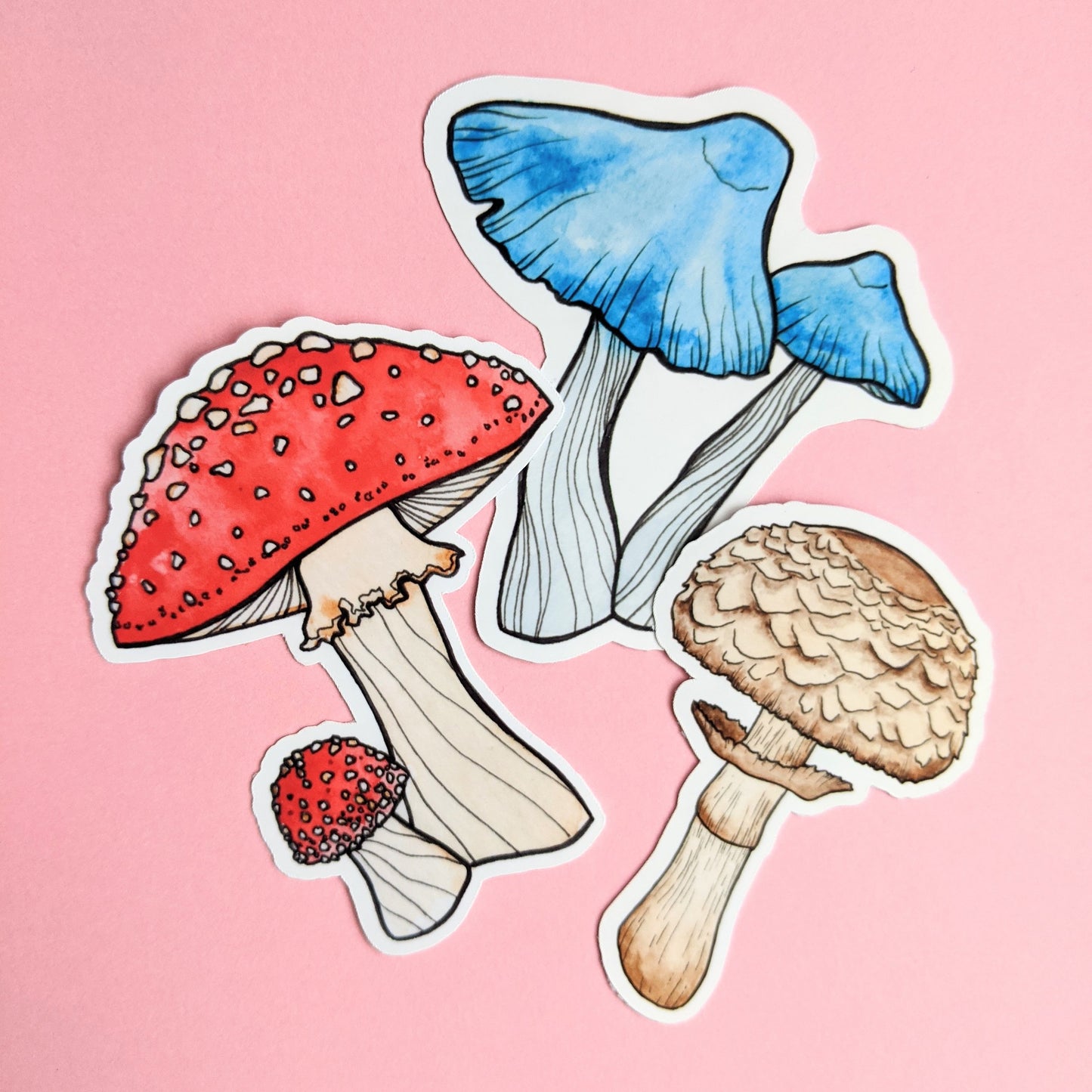 Mushroom Sticker Pack - Set of 6