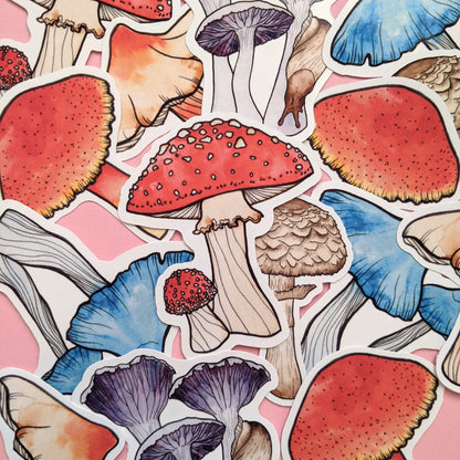 Mushroom Sticker Pack - Set of 6