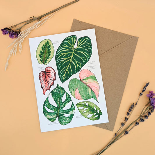 Tropical Leaves Card