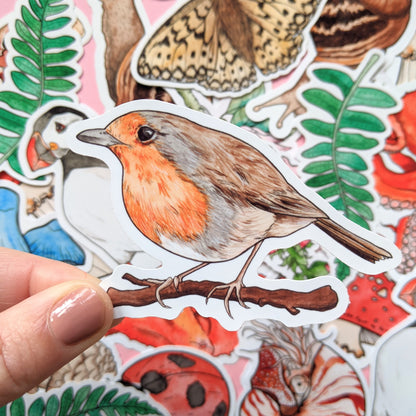 Wildlife Sticker Pack - Set of 6