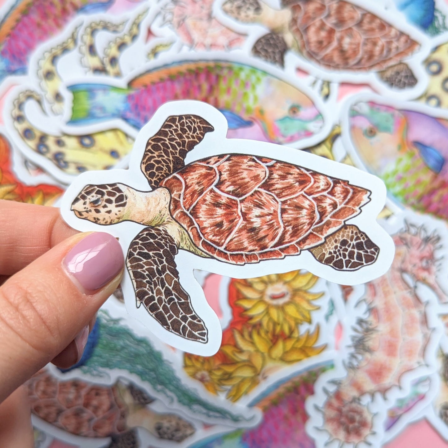 Great Barrier Reef Sticker Pack - Set of 6