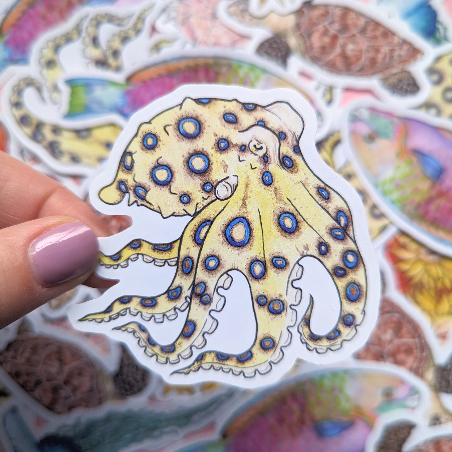 Great Barrier Reef Sticker Pack - Set of 6