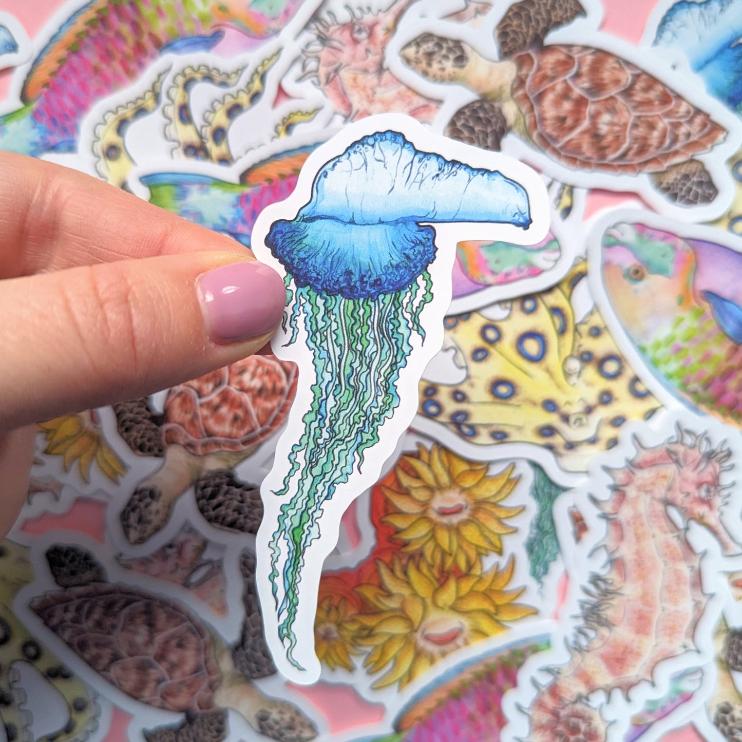 Great Barrier Reef Sticker Pack - Set of 6